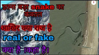 snake kankal | google map snake |real snake or fake|कहा है सांप का लोकेशन|