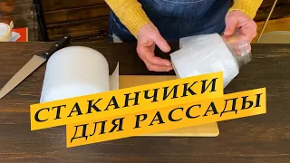 Стаканчики для рассады из подложки.