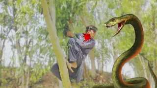 🐍Cobra snake attack || the mad man in jungle ||fire snake#snakevideo #anaconda