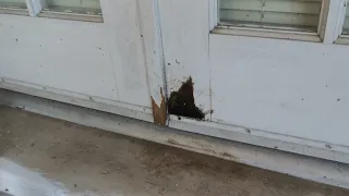 Repairing Rot on an Exterior Door