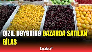 Bazarda gözü kəlləyə çıxaran meyvələr | Qiymətlərin baha olmasının səbəbi