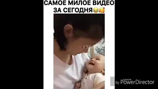 Приколы с животными и детьми. Смешные видео с кошками и собаками.