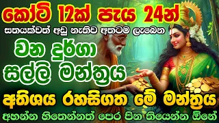 අතටම සල්ලි ඕනේ නම් දැන්ම අහන්න..💲🤑 Vana Durga MONEY Mantra E Money Sinhala earn money online sinhala