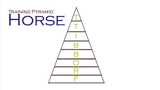 Classical Riding - Basics (Short)