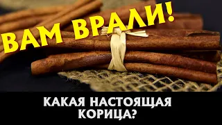 НАСТОЯЩАЯ КОРИЦА?! Как добывается корица и все этапы ее создания!