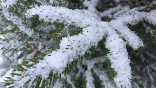 Winter in Sweden    25 December 2020