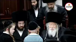 Chumash Seudah For The Gerrer Rebbe's Great Grandson - Shvat 5784