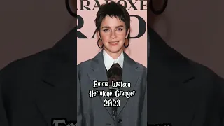 Harry Potter Then and Now 2023 Shorts Edition