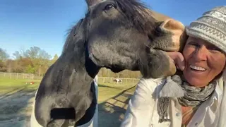 Horse girl at the zoo 😂daily vlog day 1. The pony show