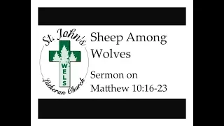 Sheep Among Wolves (Sermon on Matthew 10:16-23)