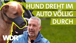 Dem Hund Respekt beibringen | Hunde verstehen | S02/E03 | WDR