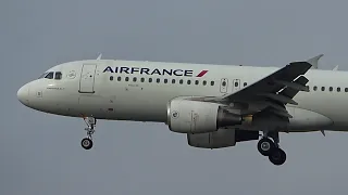ORLY Plane Spotting! Transavia, Air Corsica, Air France, Easyjet, Royal Air Maroc, Tunisair, TAP...