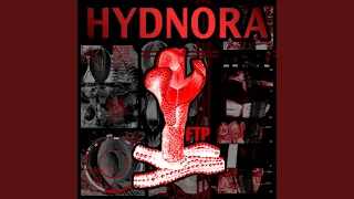 Hydnora 7