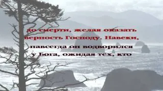 Овцы среди волков. Часть 17