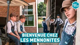 BIENVENUE CHEZ LES MENNONITES (Bolivie) - L'Effet Papillon