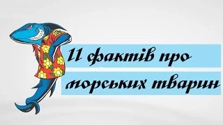 11 дивовижних фактів про морських тварин та їх життя