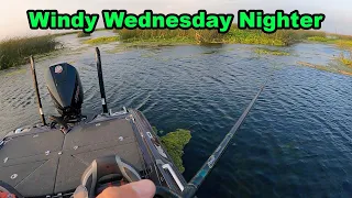 Windy Wednesday Nighters Ep 14 | TOUGH BITE