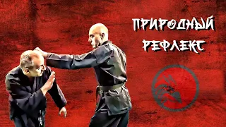 Джиу-джитсу. Темы для новичков 13.