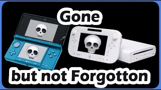 My Experience and Farewell with the 3DS (And Wii U)