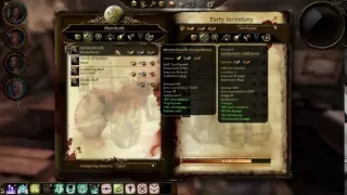 Dragon Age Origins Official Guide Character Build