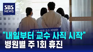 "내일부터 교수 사직 시작…병원별 주 1회 휴진" / SBS