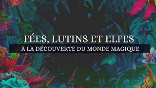 FÉES,  LUTINS & ELFES - À LA DÉCOUVERTE DU PETIT PEUPLE