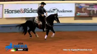 Daddy Day Care ridden by Tom Foran - 2014 NRHA Derby(Open Derby 1st Go)