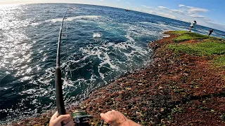 A morning of topwater lure fishing for Sydney kingfish land based 4K - Bugsy Fishing Episode 19