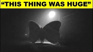 4 Mothman Sightings & Encounters That Cannot Be Explained