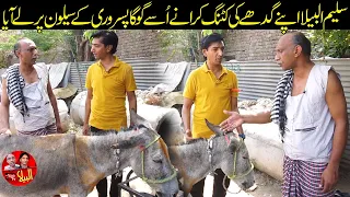 Saleem Albela came to Goga Pasroori to have the Donkey's hair cut Funny Video