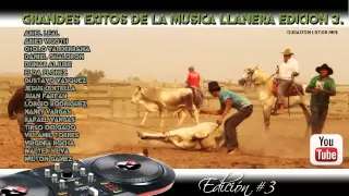 EXITOS DE LA MUSICA LLANERA