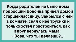 Вовочка Привел Домой Старшеклассницу! Сборник Свежих Смешных Жизненных Анекдотов!