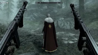 skyrim with guns