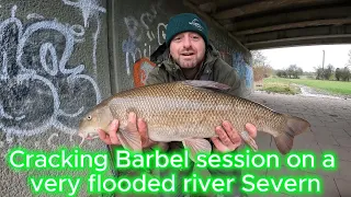 Cracking Barbel session on a very flooded river Severn