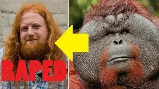 Tourist Attacked And R@ped By 400-Pound Orangutan Because Of His Orange Hair