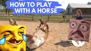 Forsen Reacts to HOW TO PLAY WITH A HORSE