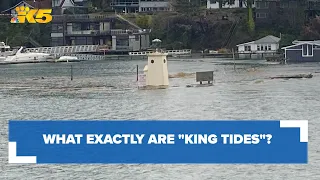 What are king tides?