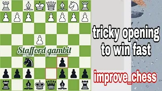 Stafford gambit opening | tricky lines lead to short games#chess#stafford_gambit