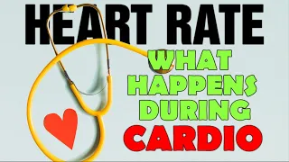 Target Heart Rate || What Your Heart Rate Is Telling You During Cardio