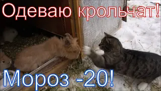 Чтобы крольчата не замерзли делай так! Кролики зимой в мороз!