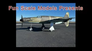 Fun Scale Models Do-335 Park Flyer