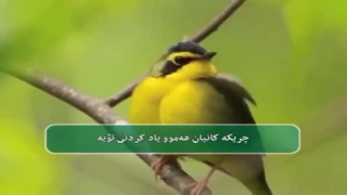 سرودی بك استجير ژێر نووسی کوردی