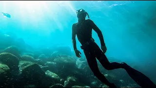 Shelly Beach (Manly) Diving 4K 2020