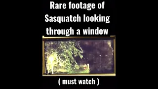 Rare footage of Sasquatch looking though a window ( must watch ) #bigfoot #shorts