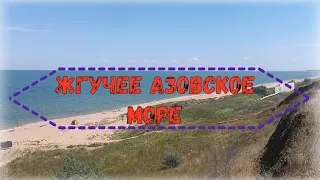 Пустые пляжи Азовского моря!!!
