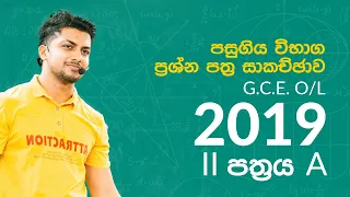 G.C.E O/L 2019 Maths Past Paper Discussion By Sinhala | 2 Paper A | Maths Online Classes
