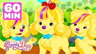 Sunny Day & Doodle's Best Friend Moments! | Compilation | Shimmer and Shine