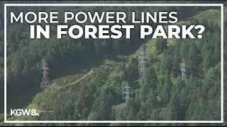 PGE weighs cutting down trees in Forest Park for more power lines