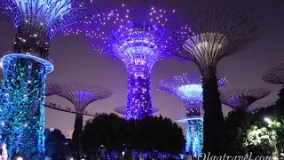 Сингапур шоу садовая рапсодия / Singapore Garden Rhapsody