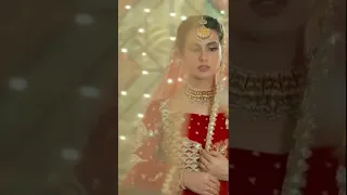 rukhsati bol kar Mahi Farhad ki Yad Mein gum 🕊️❣️